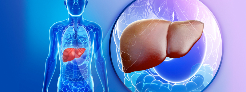 Liver Procedures Image | Arizona Advanced Surgery